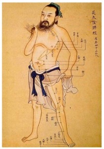 acupuncture_meridian_man